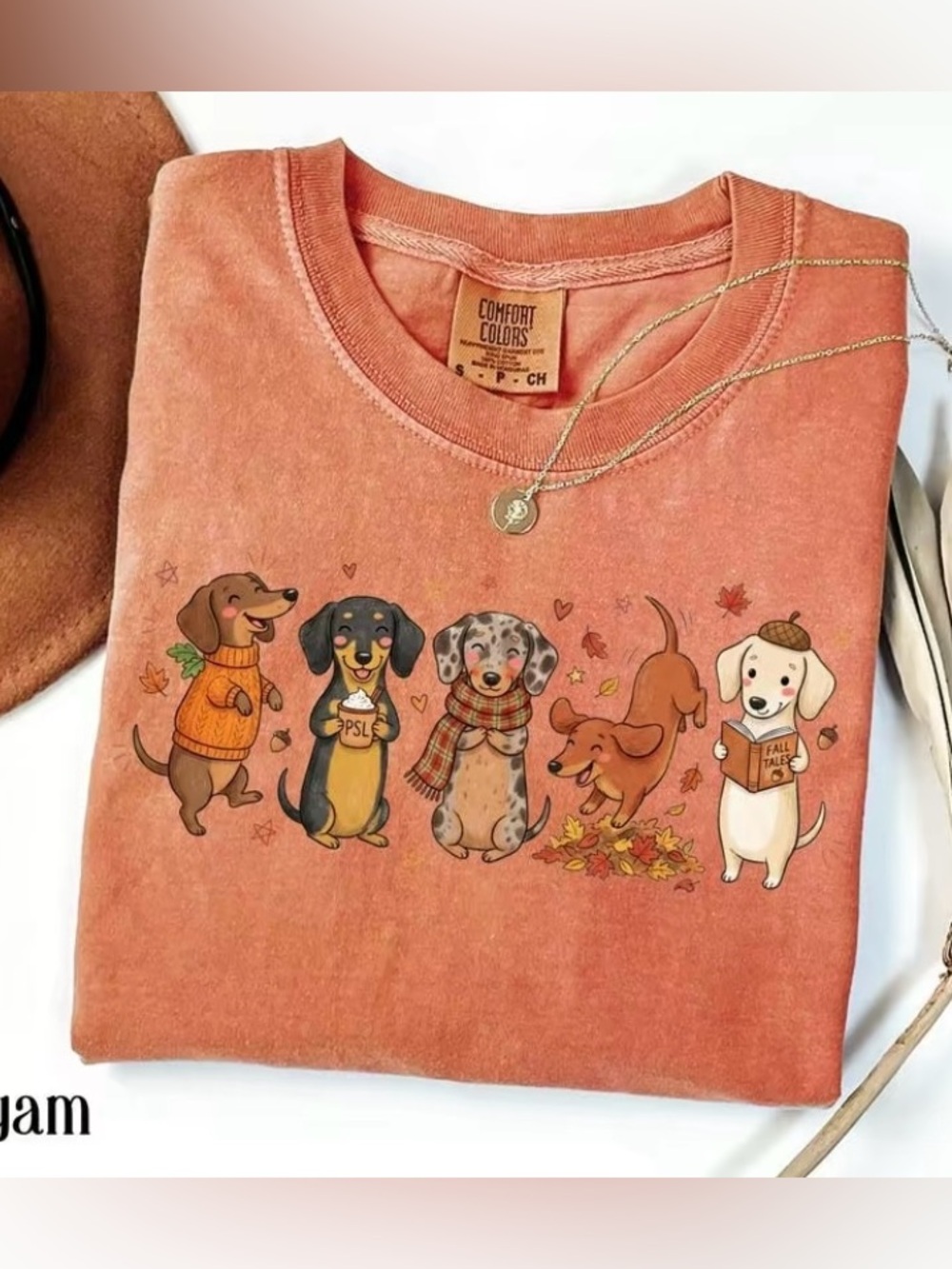 Comfort Colors Dachshund Fall Dog Graphic Tee Cozy Season Wiener Dog Pumpkin